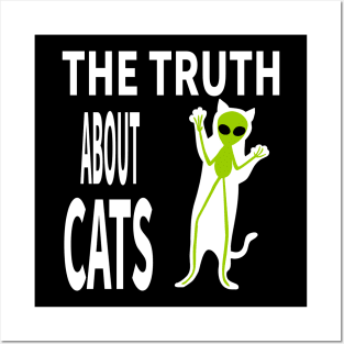 THE TRUTH ABOUT CATS Posters and Art